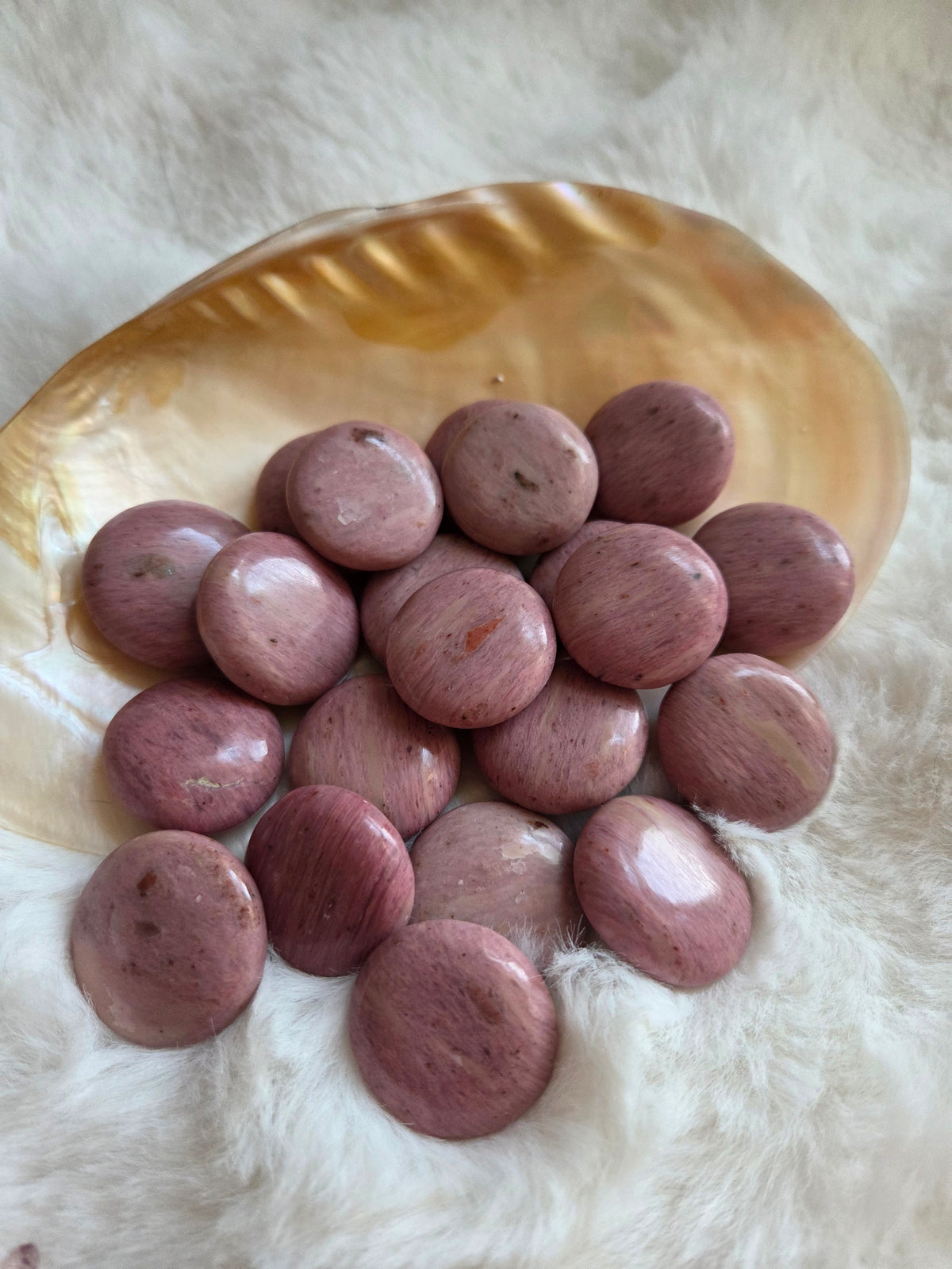 Pink Petrified Wood Coin