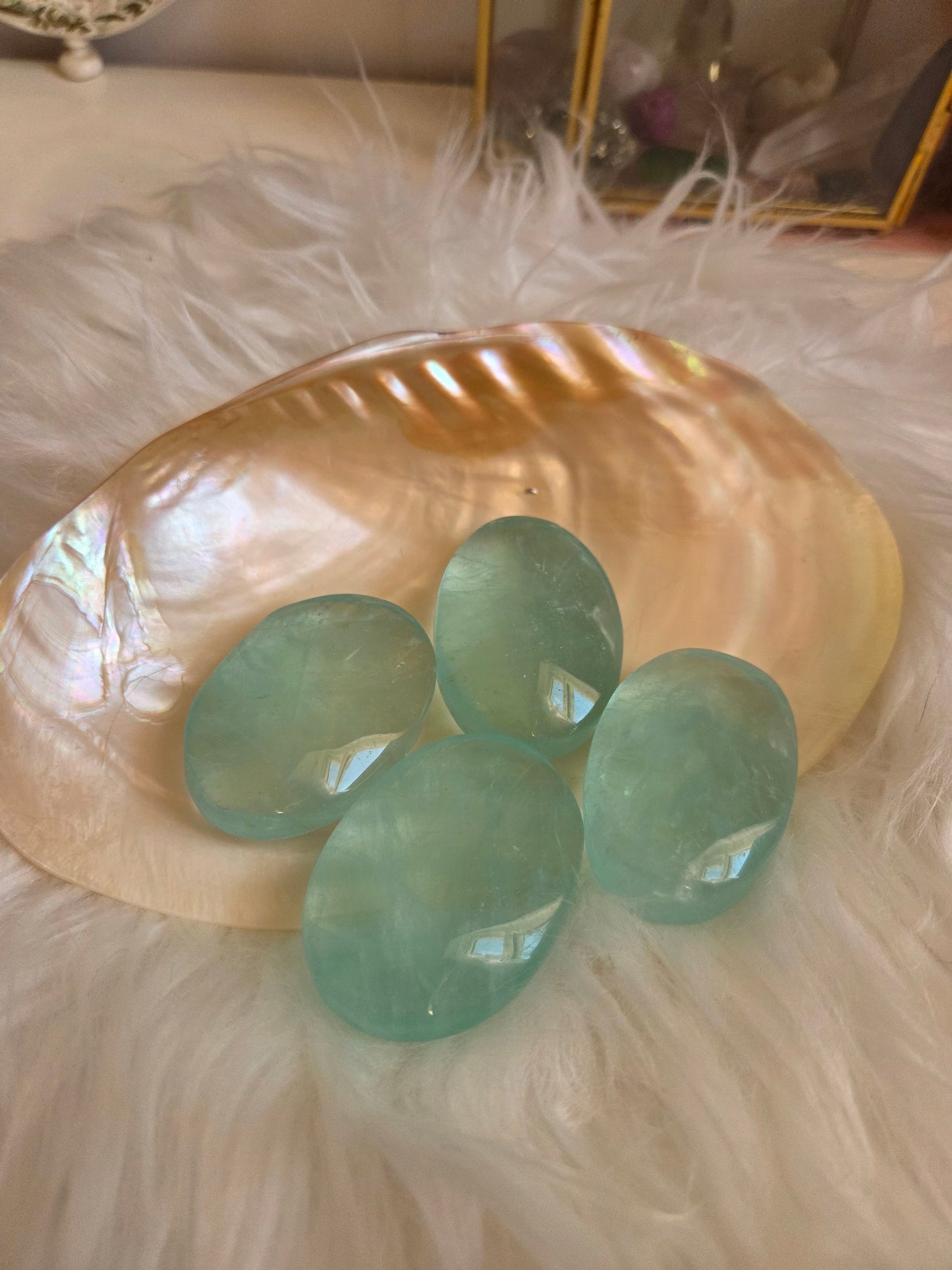 Baja Blast Flourite palms