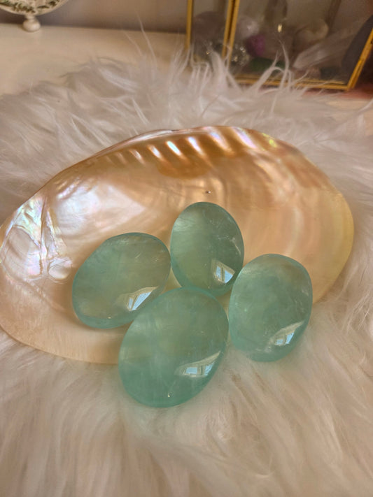 Baja Blast Flourite palms