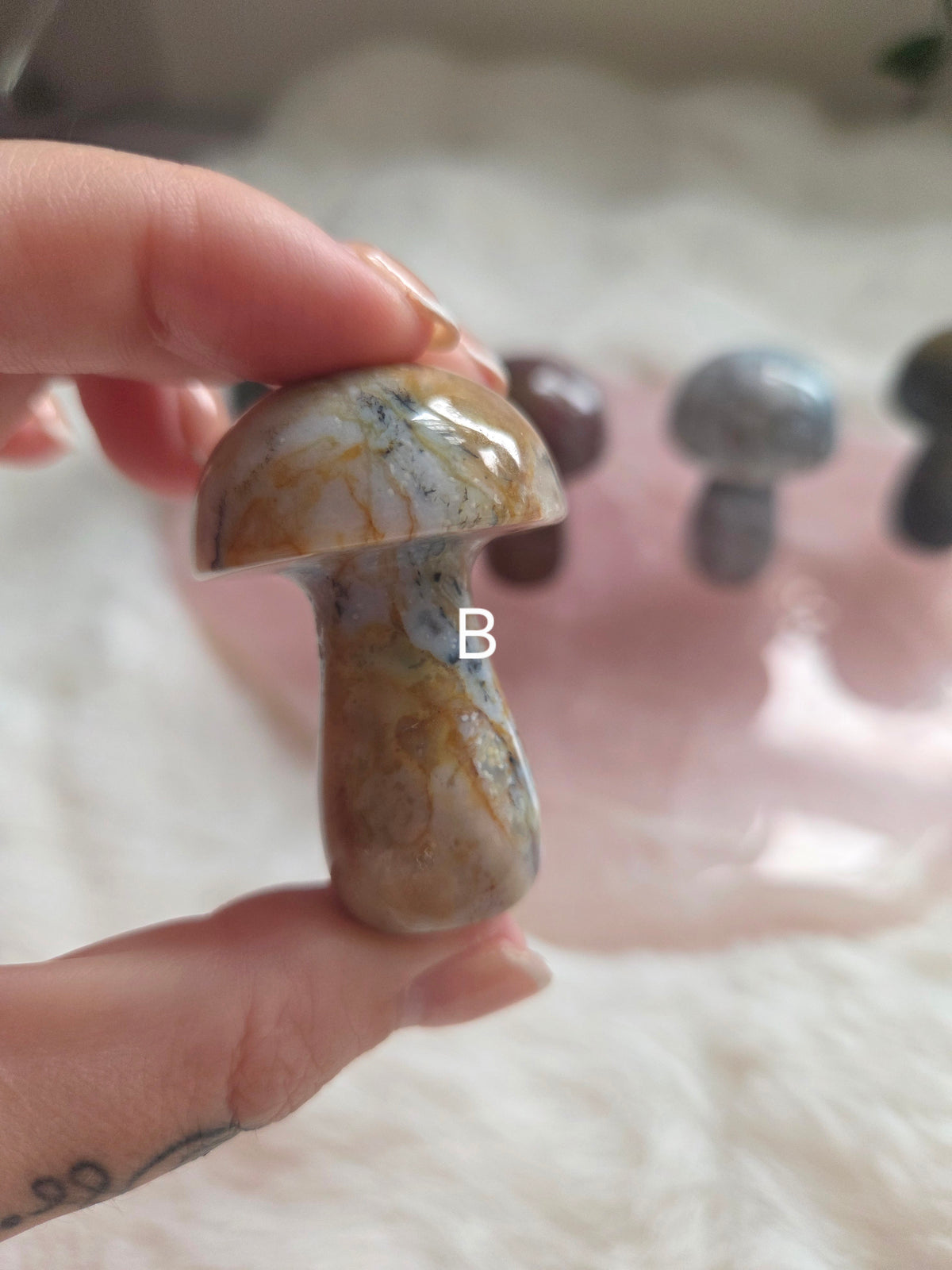 Ocean Jasper Mushroom