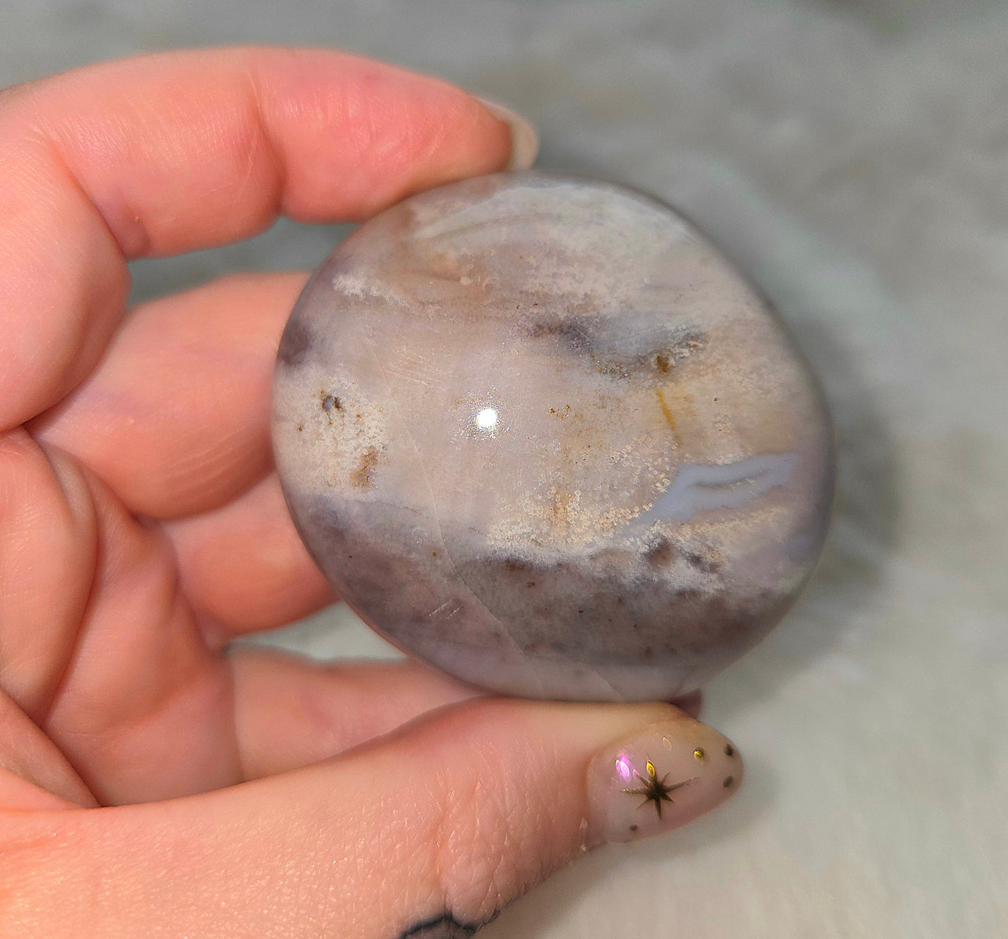 Ocean Jasper Palms - You pick