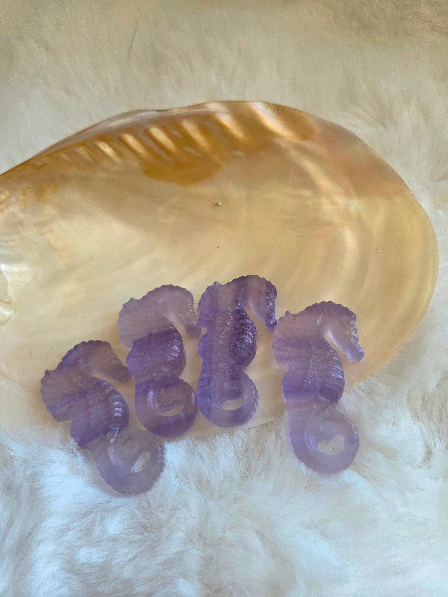 Flourite Seahorse
