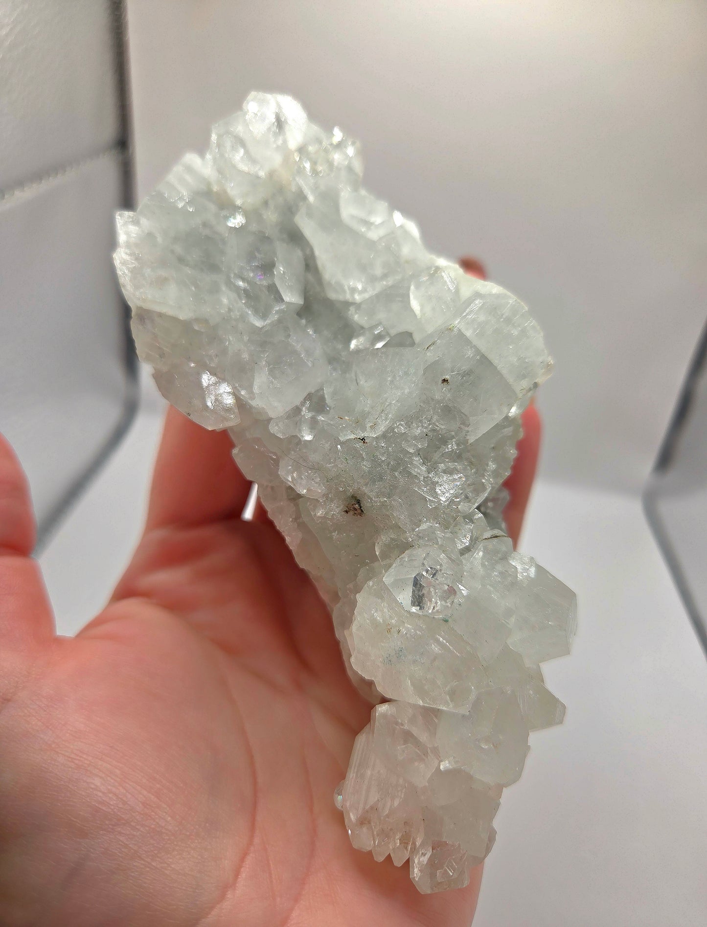 Apophyllite Cluster