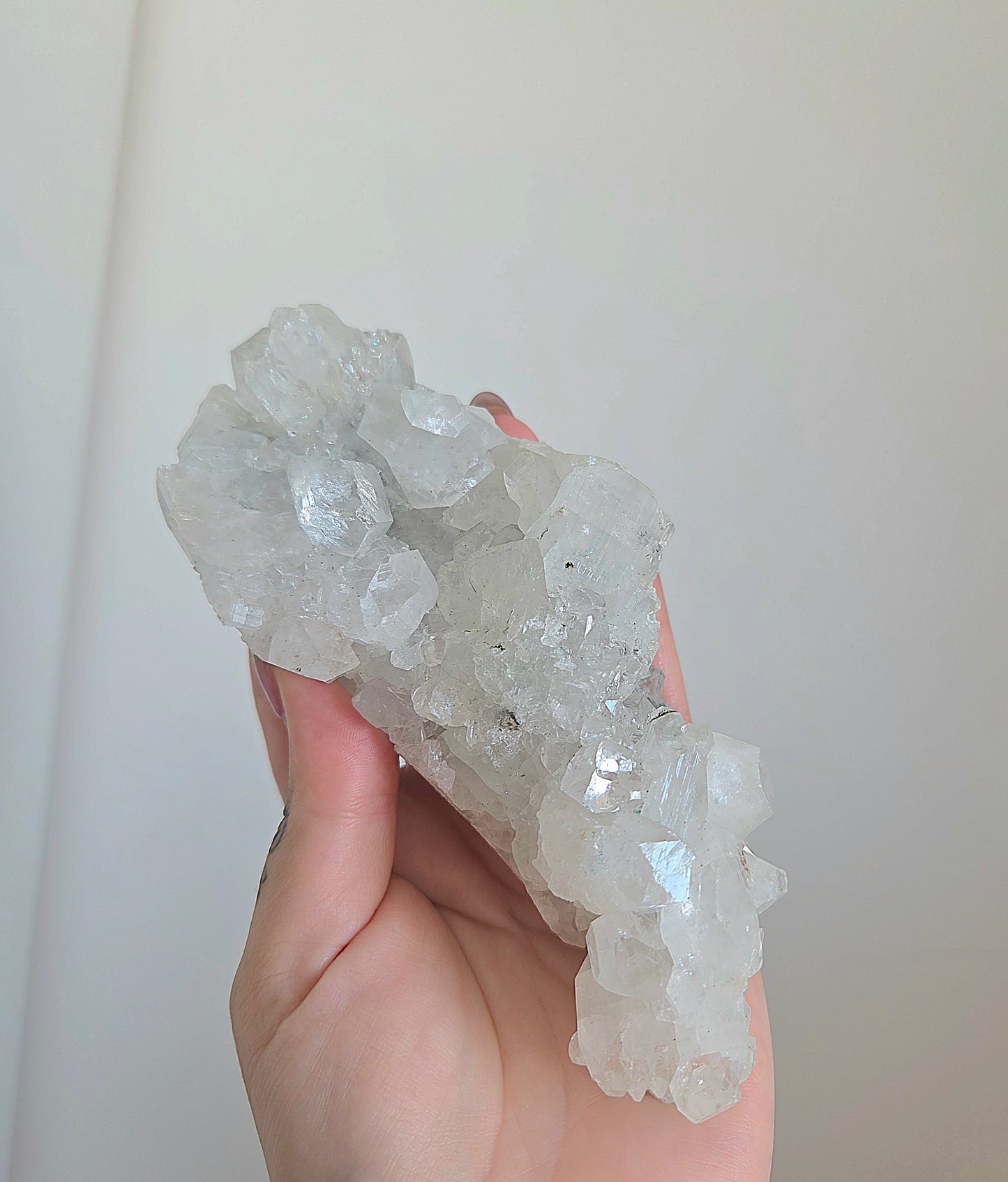 Apophyllite Cluster